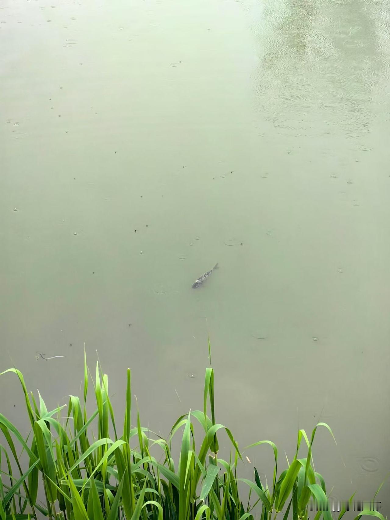 有个朋友刚一退休，就做了一件事，让他的女儿憋气得很。
朋友只带了一个女儿，嫁在本