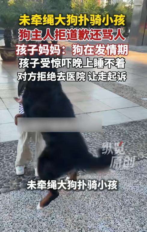 8岁女童遭未牵绳大狗扑抱、骑蹭！6月22日傍晚，一个遛狗没拴绳的大狗扑骑到小朋友