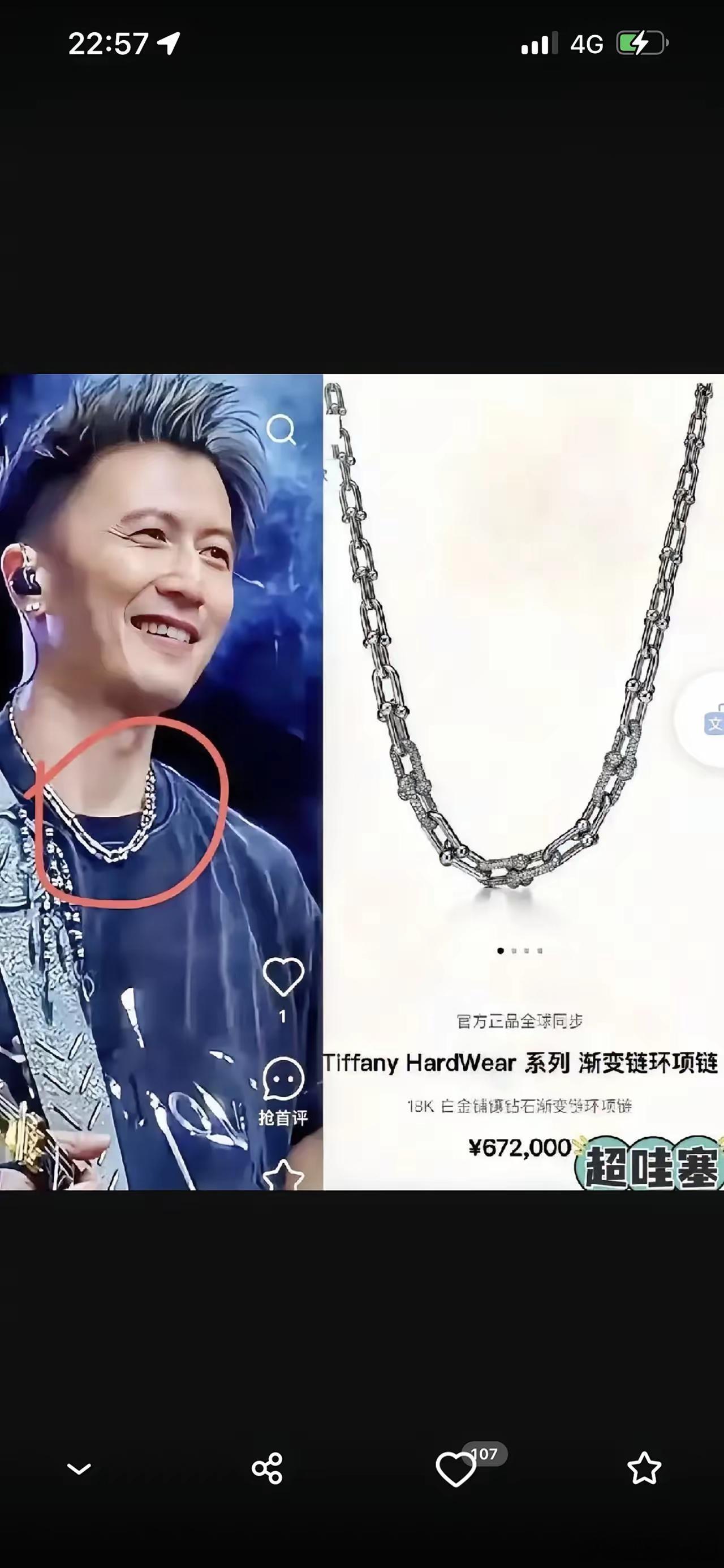 谢霆锋这个项链，可以传三代了吧！看似几块钱的一条链子，居然要 670000多，果