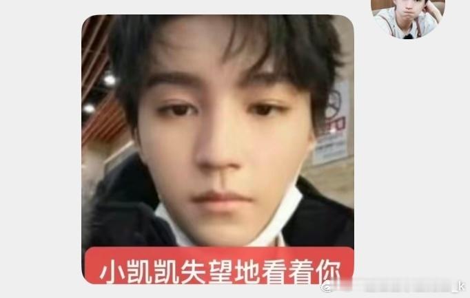 董璇让粉丝不要总是给小酒窝买盲盒了为啥不让了？有啥关系。 