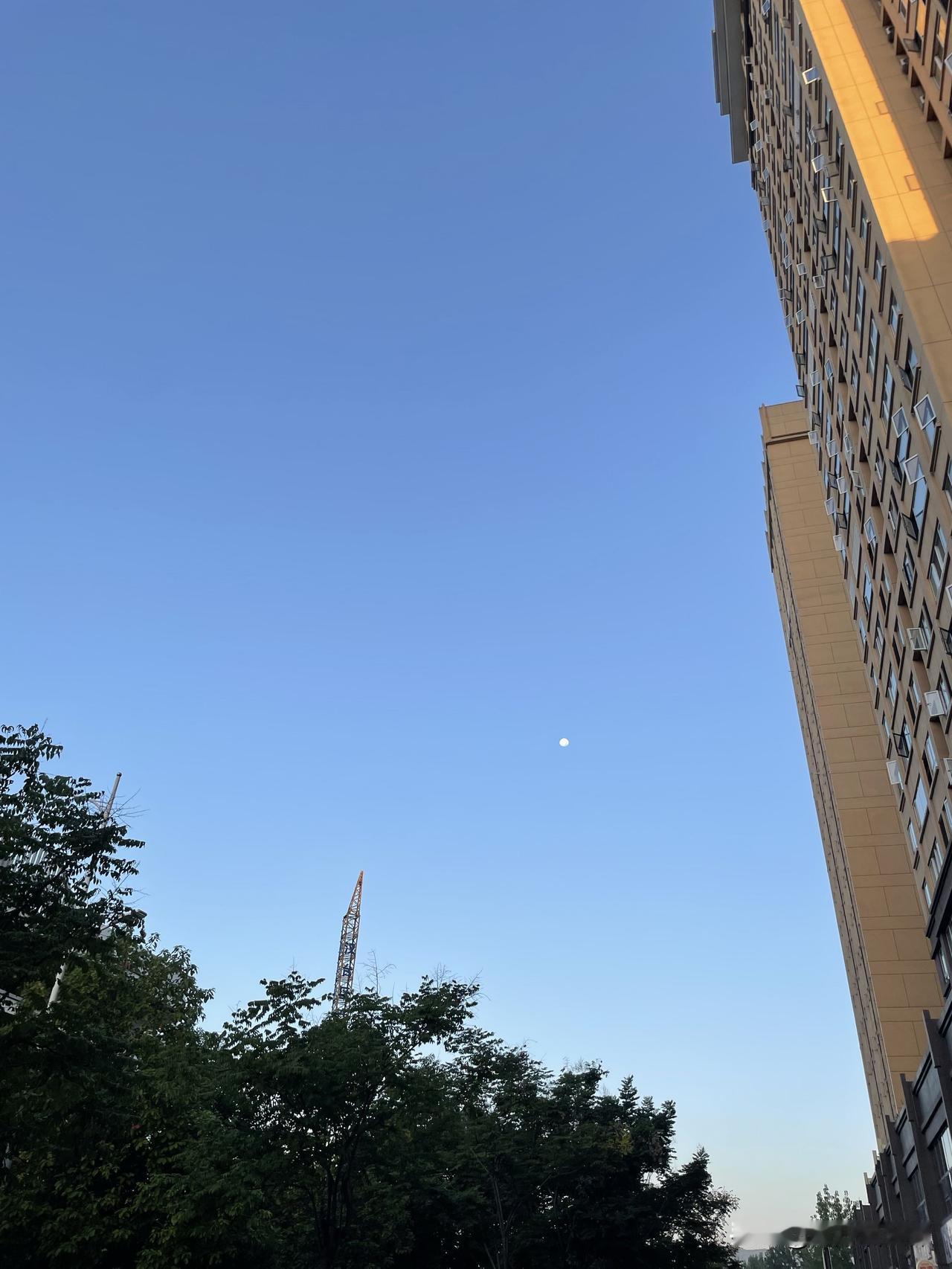 今天早晨的天空，月亮还挂在天上，太阳已经升起了。
