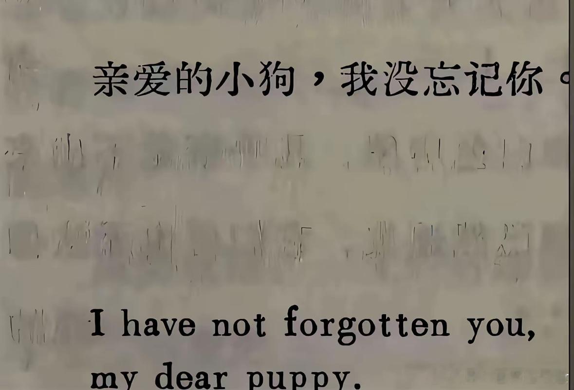 “亲爱的小狗，我没有忘记你” ​​​