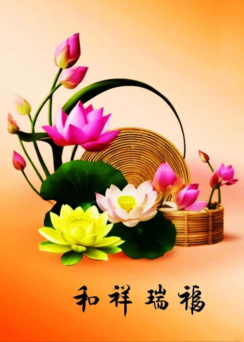 【为什么有些人不爱发朋友圈了？】▪️用心感受生活    踏实过好每一天不爱发朋友
