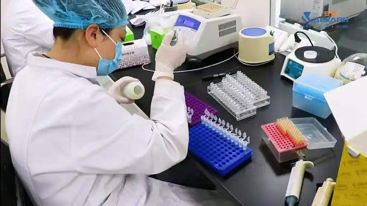 广西七旬老人养8年孙子疑非亲生败诉，周兆成：情理值得同情，权利法定边界不能逾越