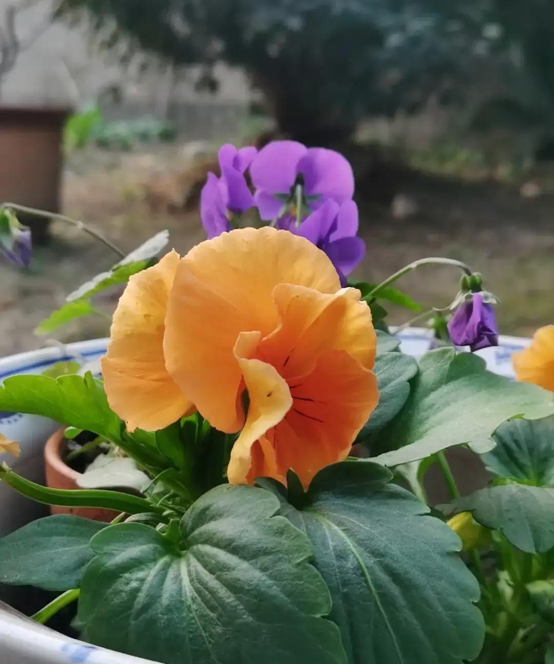 刷到一堆年轻人晒泡脚水拖地、肥皂头攒成球、炒菜油都要留到下一顿，我直接笑出声。