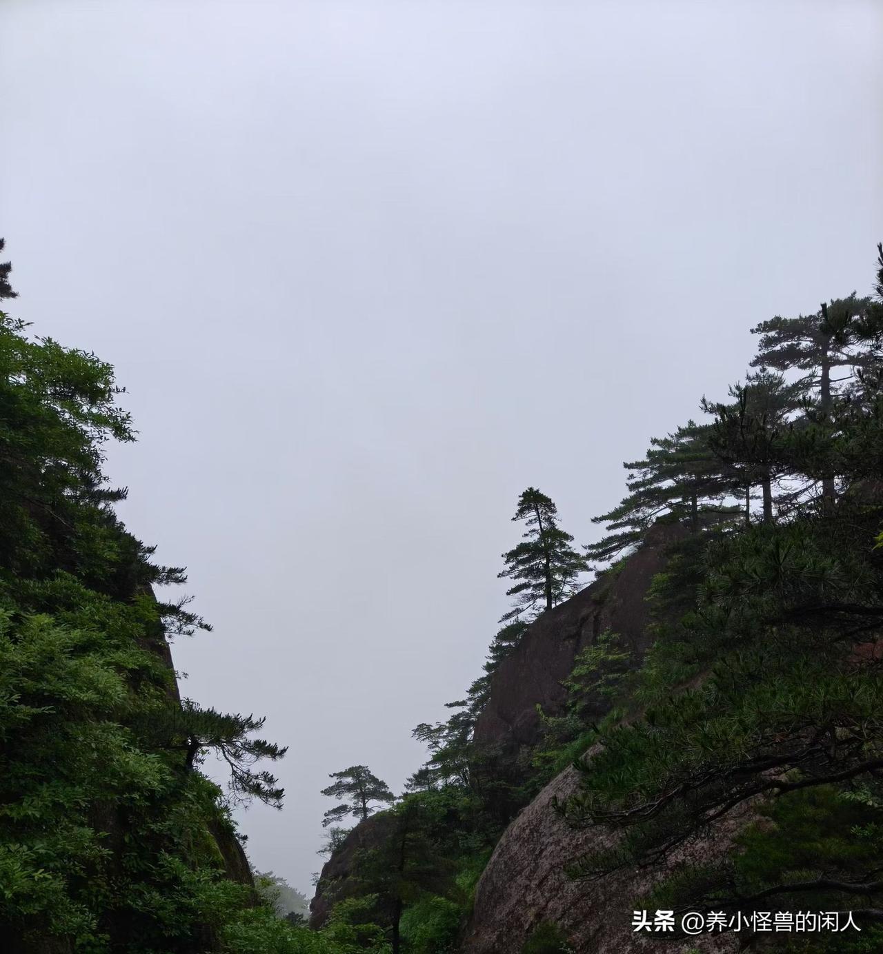 网友总结的催收“禁区”，为什么是广东、浙江、上海？

为什么会有人把广东、浙江、
