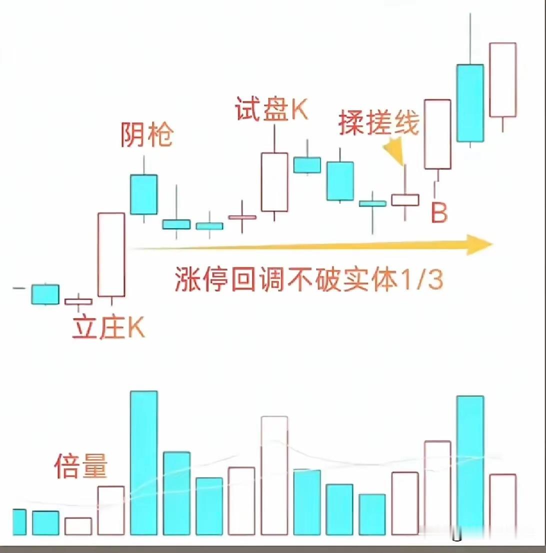 涨停板战法的一种，仅做逻辑拆解，不涉及具体标的。涨停板打辨识度。次日放量，无所谓