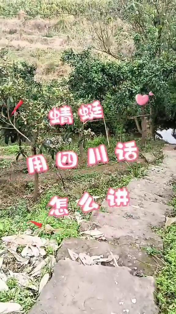 蜻蜓用四川话怎么讲？
蜻蜓用四川话怎么讲？