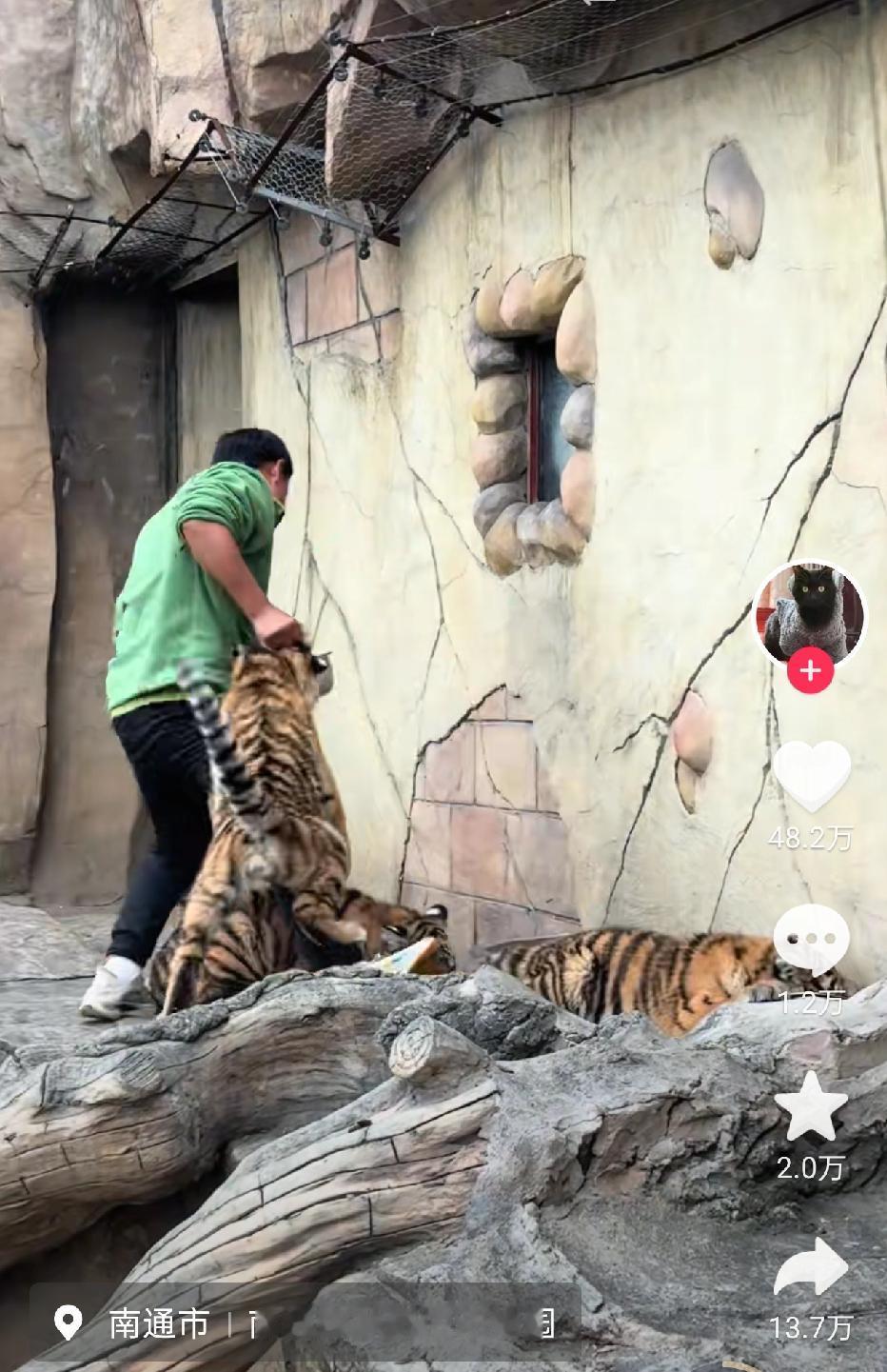 不知因为啥现在我越来越觉得在我们这里，最轻松、最不累心的工作应该就是动物园里的饲