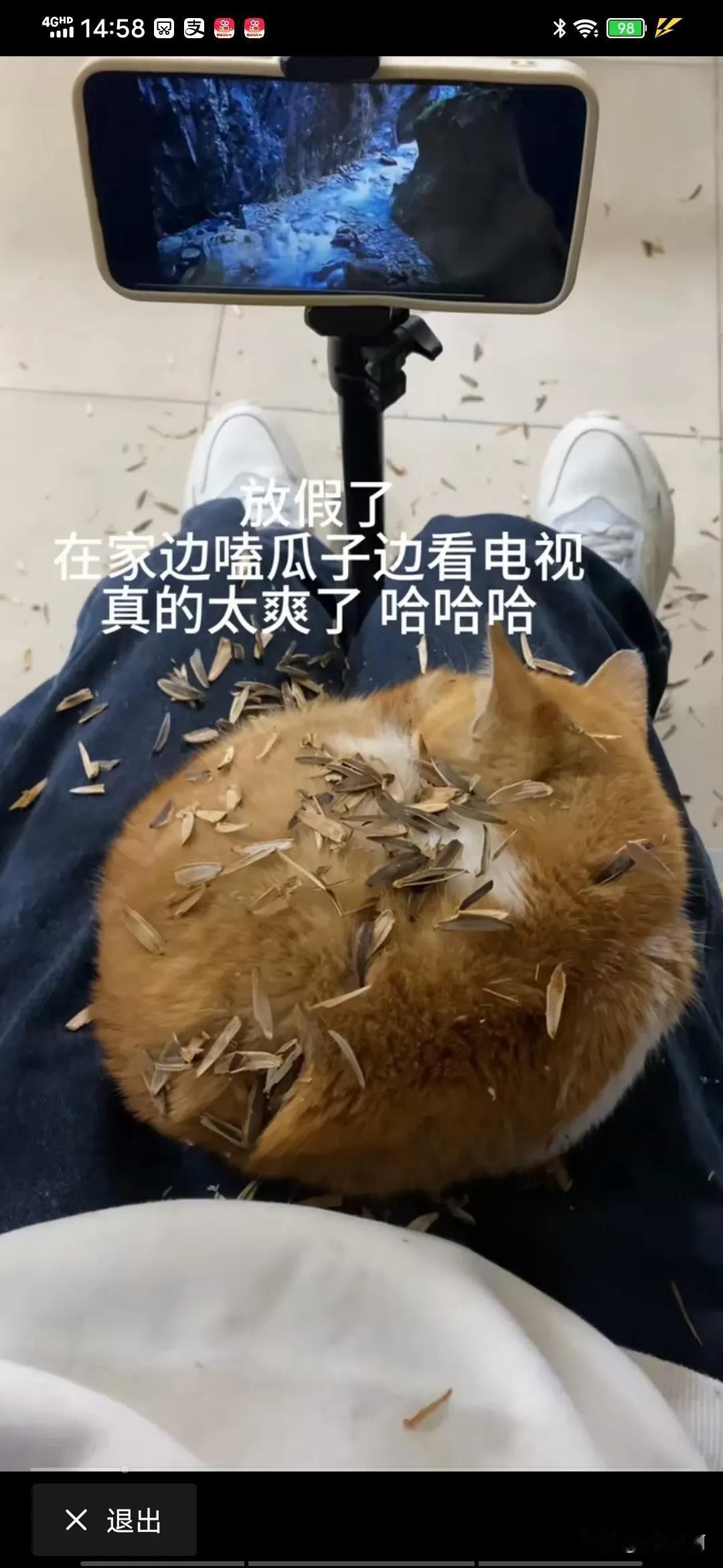 一只真猫，一只真狗[赞]