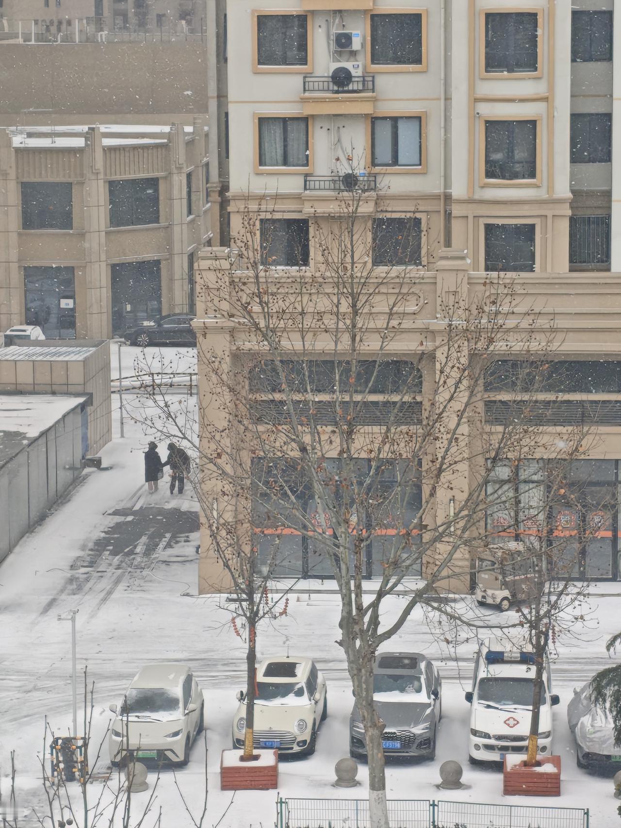 ❄️ 2026年的第一场雪，比往年来得更温柔些。窗外的世界裹上了一层蓬松的白，小