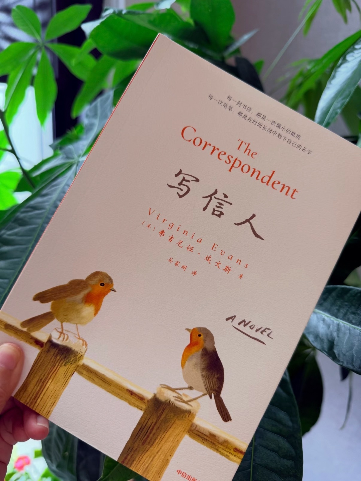 读书| 《写信人》 