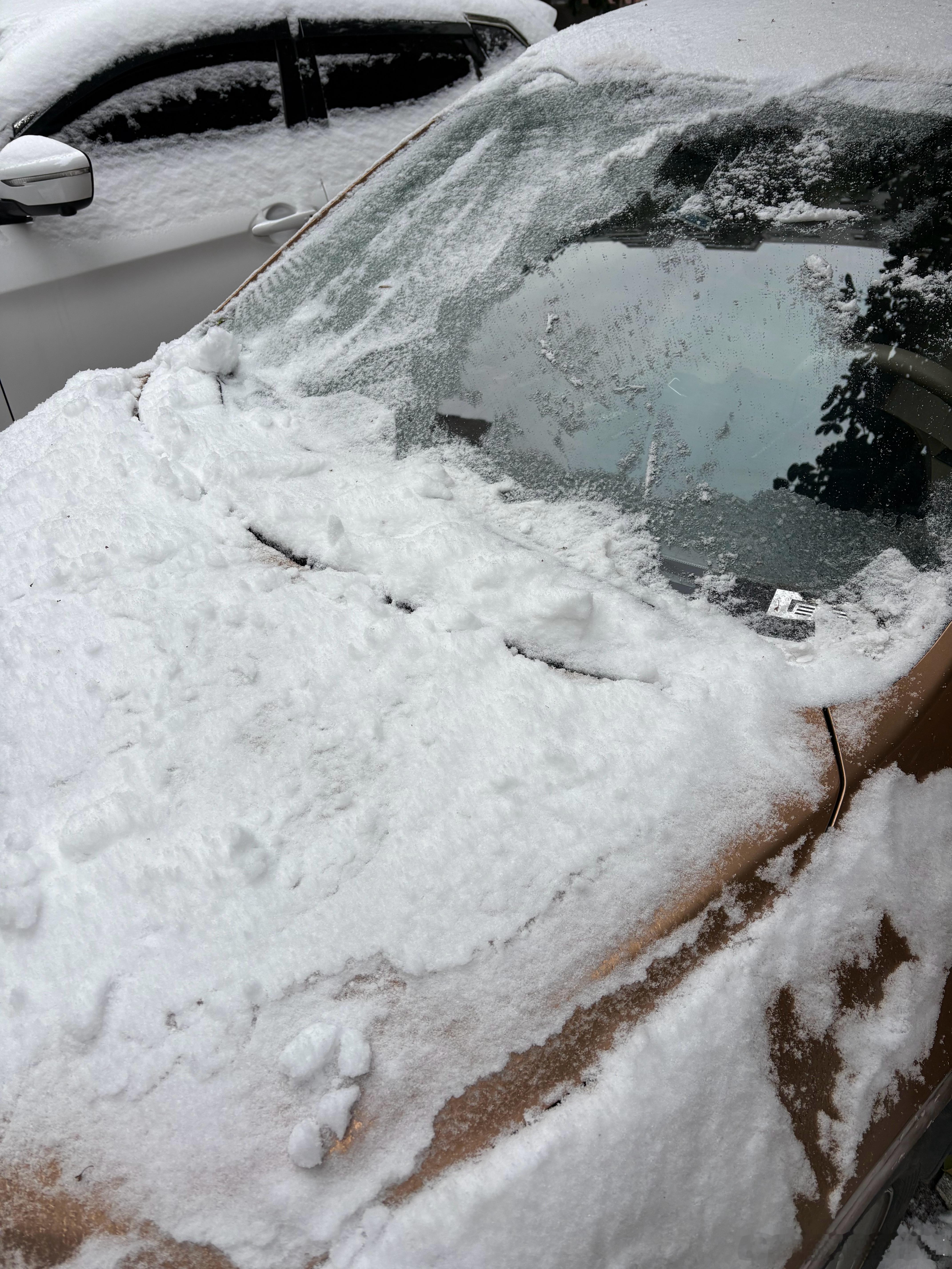 老骐达有个问题 就是电瓶特别小今天天冷+放了一段时间 亏电了我的随车搭电宝也没电