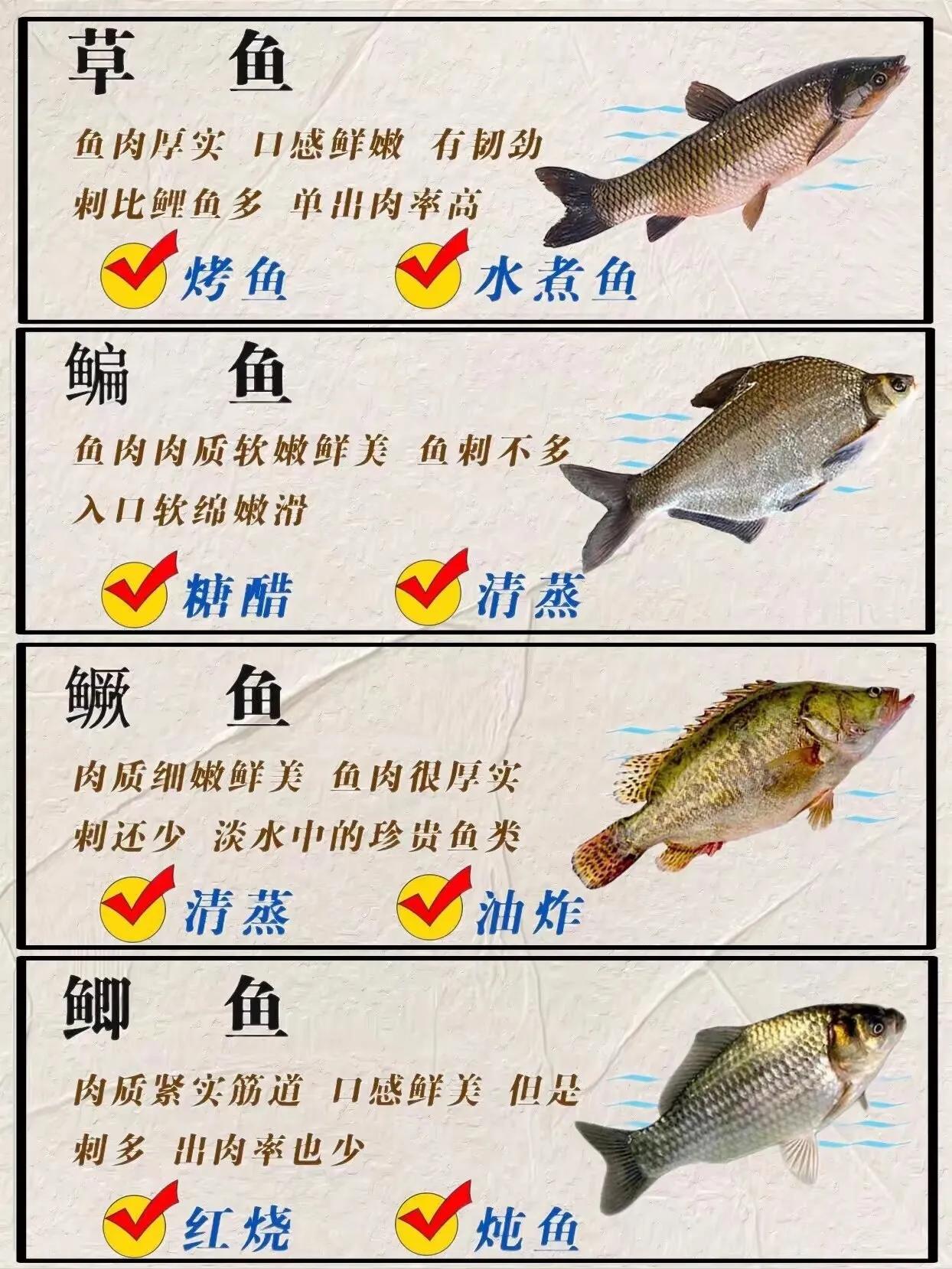 常见淡水鱼，今天一次性讲全。做法口味！