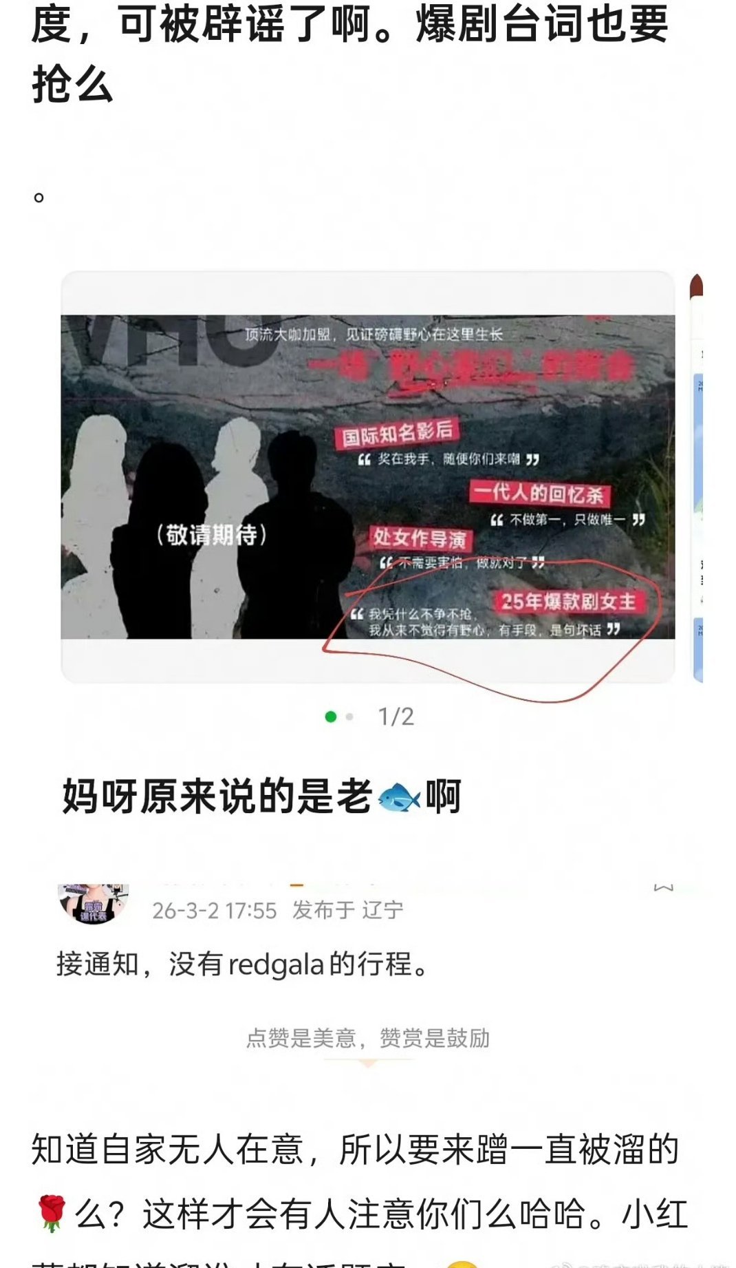 小红书之夜邀请了虞书欣，有网友说拟邀台词用的是赵露思许我耀眼的 