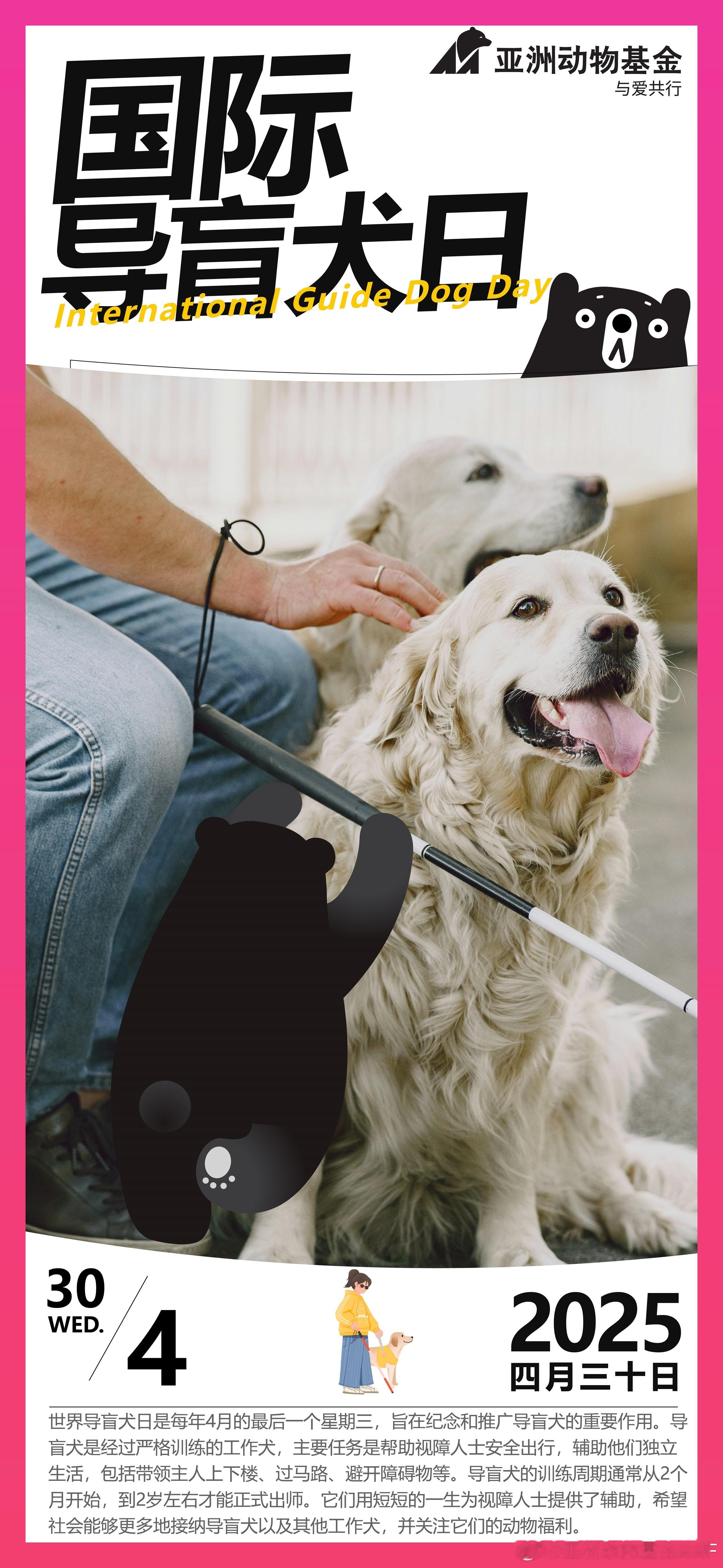 国际导盲犬日 | 它们是眼睛，更是无条件的爱每年4月最后一个星期三是世界导盲犬日