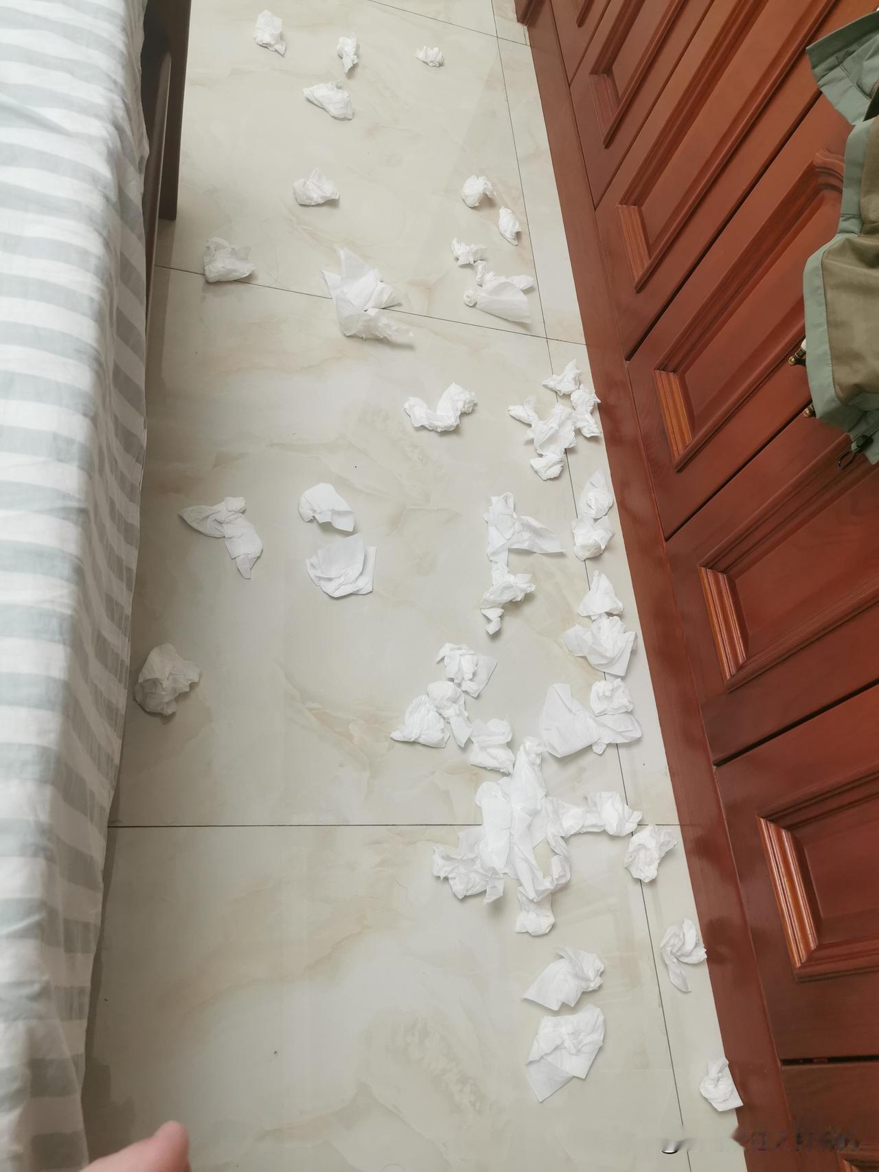 看地上这么多纸，还以为我昨晚没看啥好事，其实我就是感冒了，擤鼻涕的而已！鼻子差点