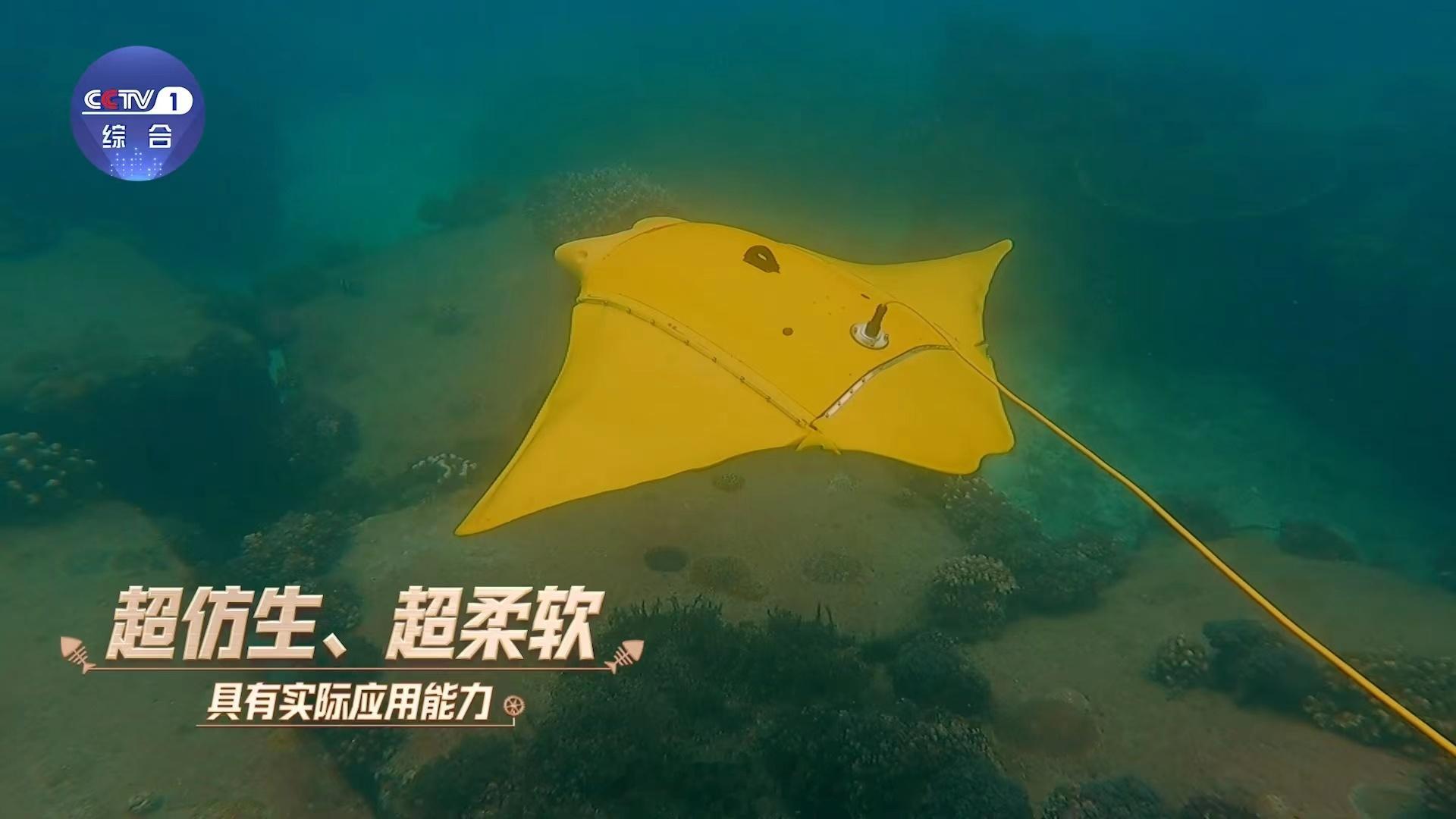 仿生鱼已经进化到这种程度了吗看到仿生鱼游动，不禁感慨进化之妙。鱼鳍摆动与真鱼毫无