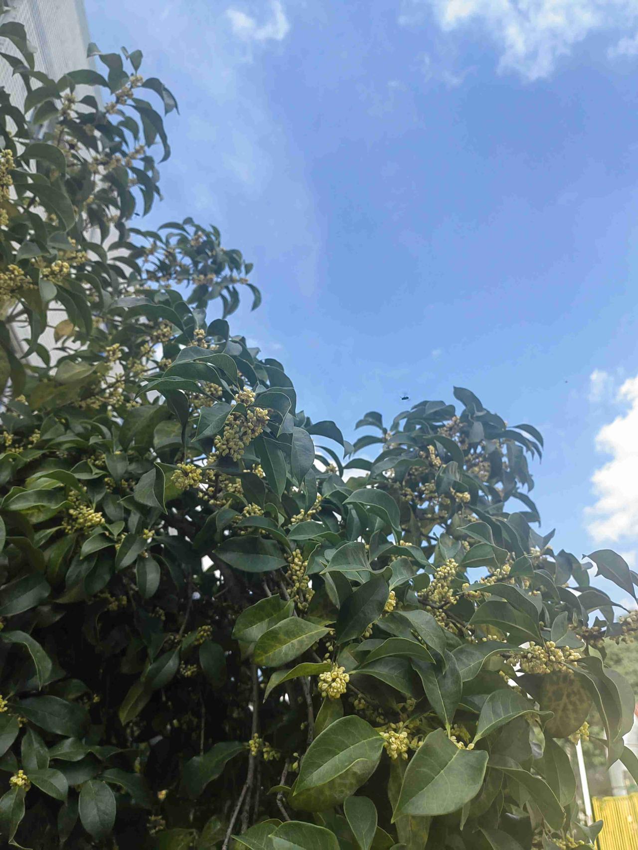 我的今日状态：💪🏻充满干劲
我这里的天气：☀️晴天