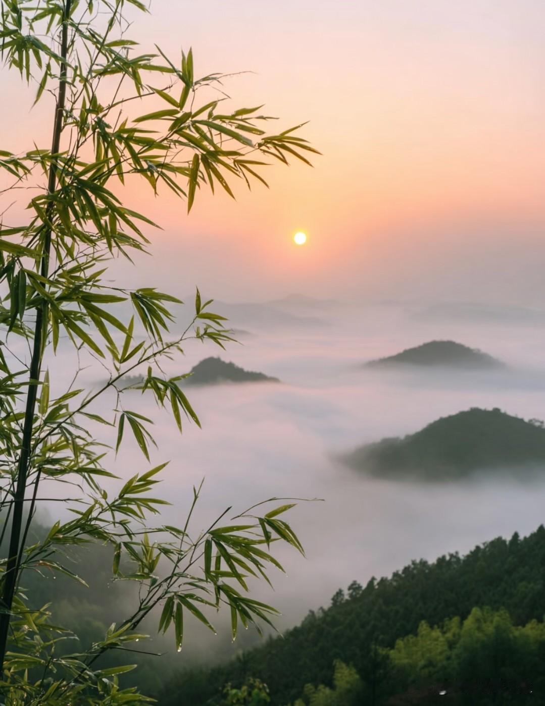 医生说的身体的十大天敌:
“​​第一个，脑的天敌是劳累。
​​第二个，肝的天敌是