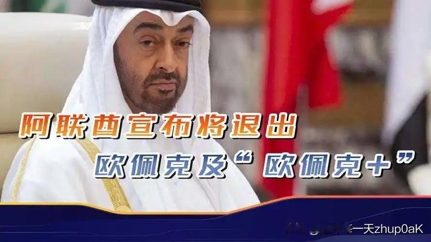 简单来说：
短期赚实利，长期赌未来。
对阿联酋而言，或许当前退出欧佩克，是不得不