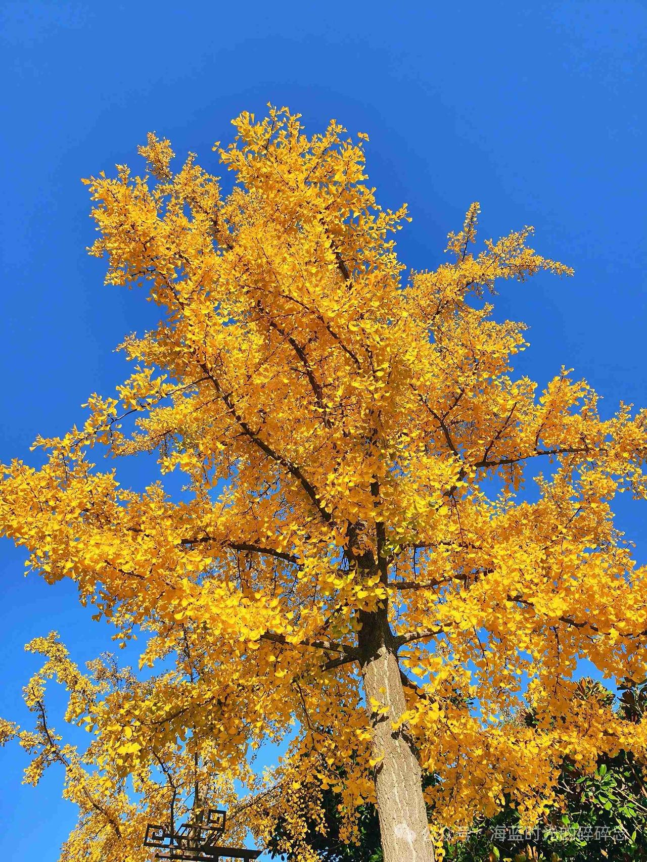 我的今日状态：😁轻松愉快
我这里的天气：☀️晴天