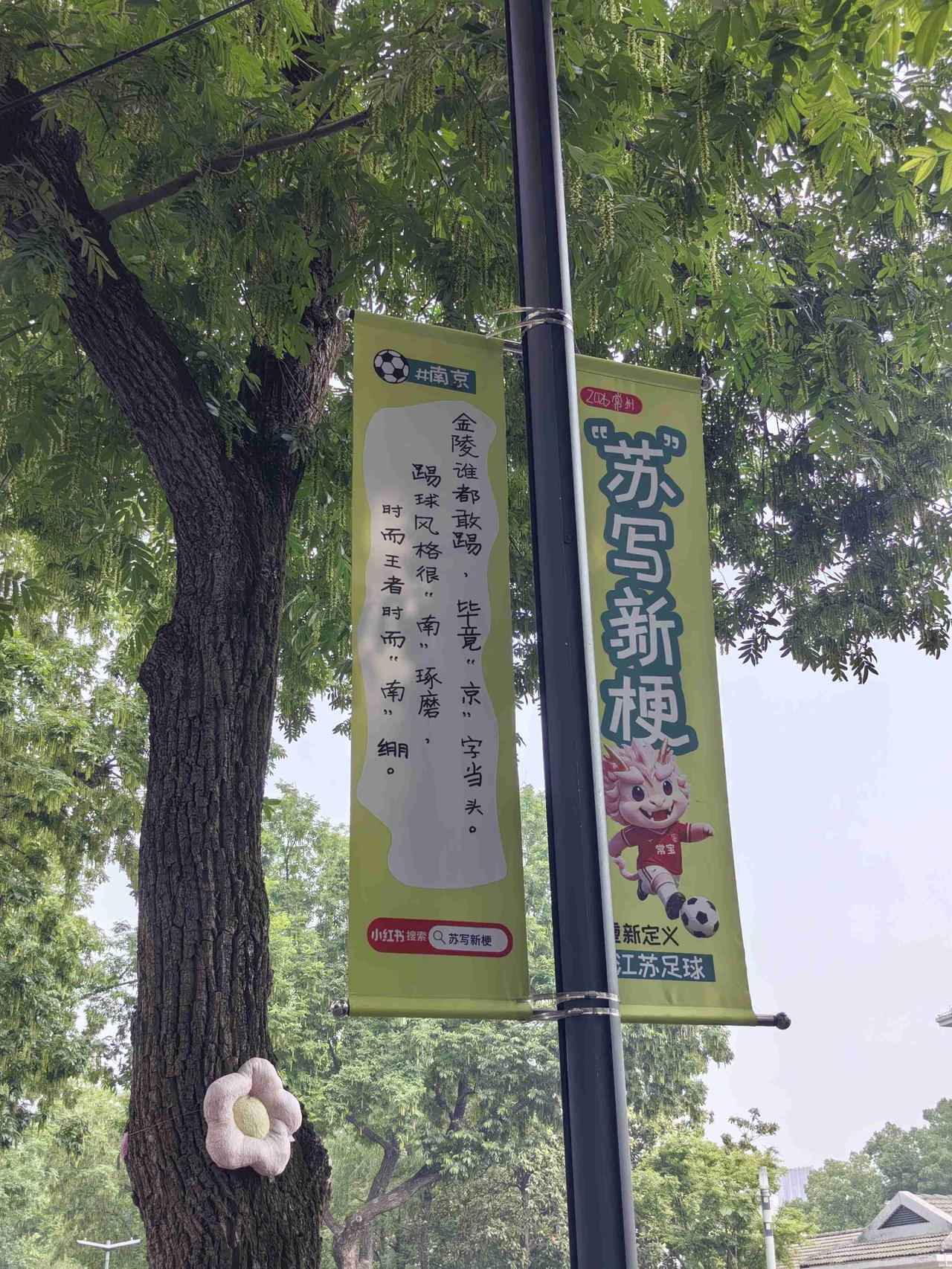 地铁一号线文化宫出来，去往天宁寺的路上，就发现省常中门口的路边，多了几个新玩意出