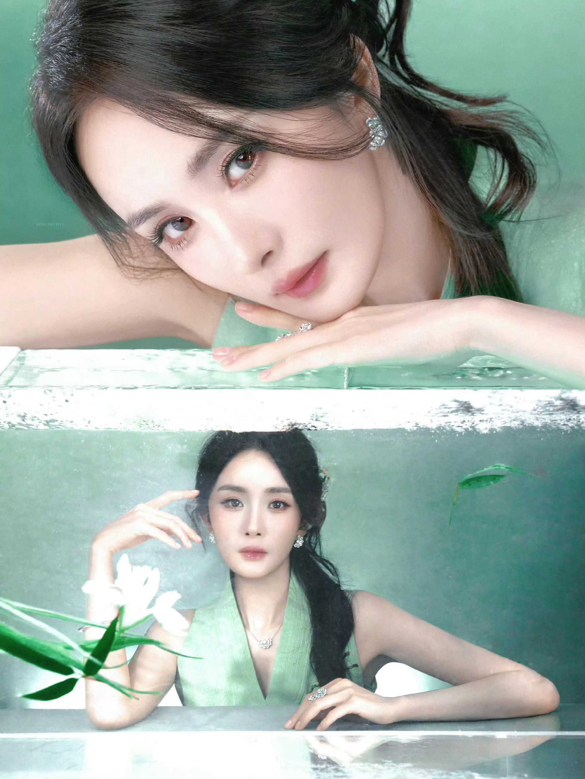 晚上好，在的bb动动 