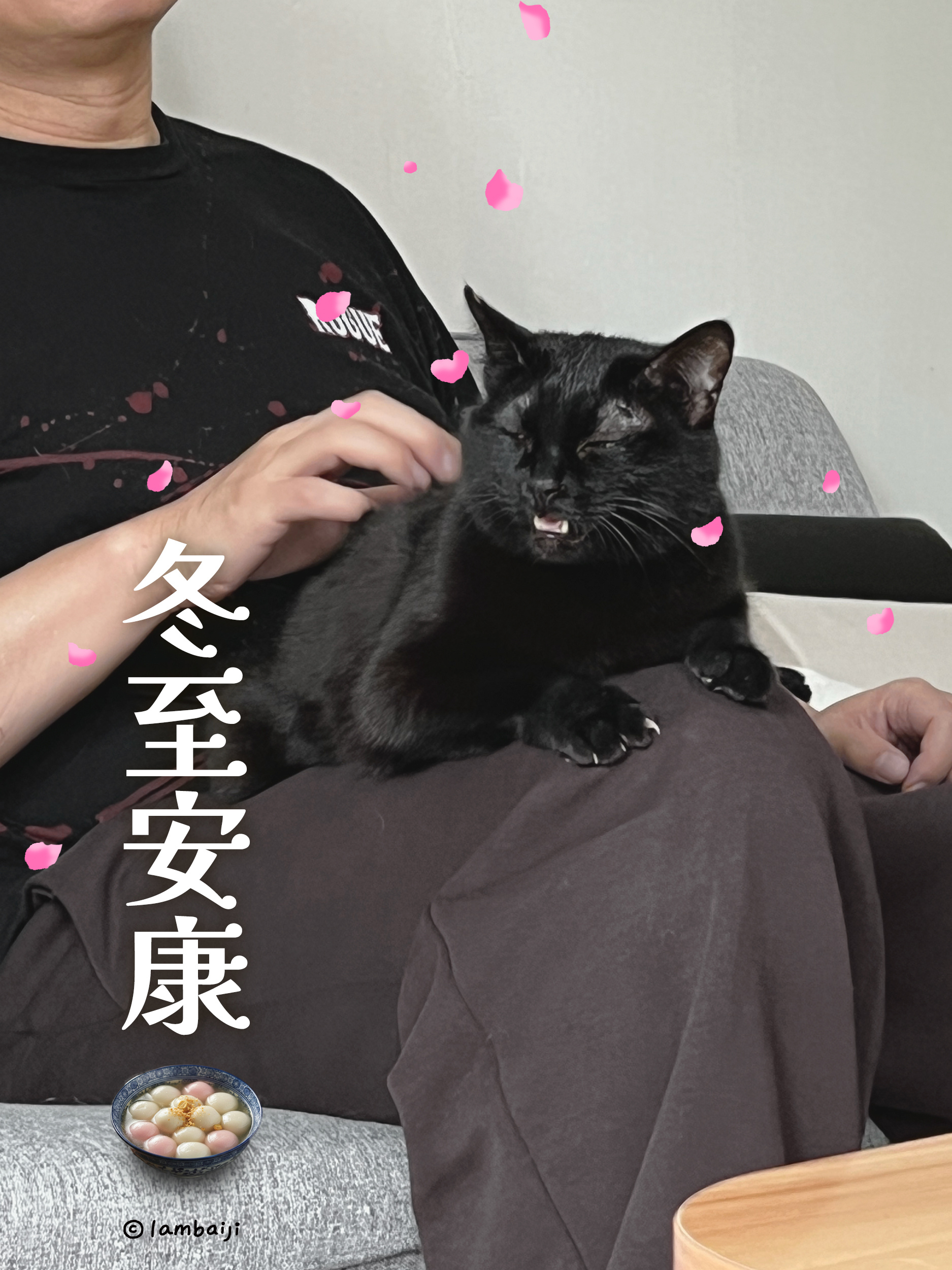 冬至安康願浪浪小動物都能被友善對待好人們都健康平安。 