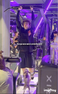我就是那只狗啊 然后看到主人在锻炼我就咬上去 