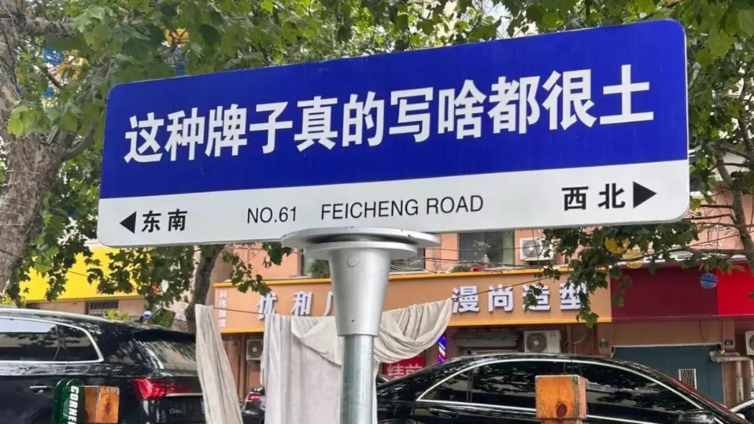 她喊了五遍。没人停下来。

四川那个玩瀑布秋千的女孩，16岁。视频里她反复说“没