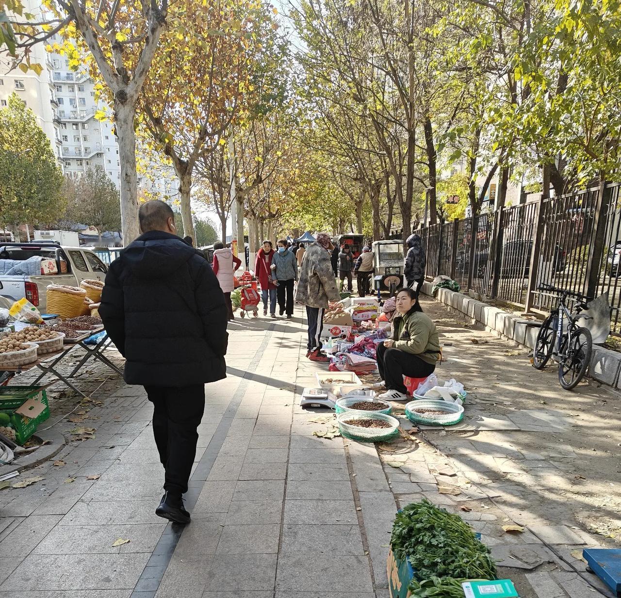 我最近写作放慢了节奏，上午太阳高过平安大街上两排梧桐树的时候，我就走出小区，上平