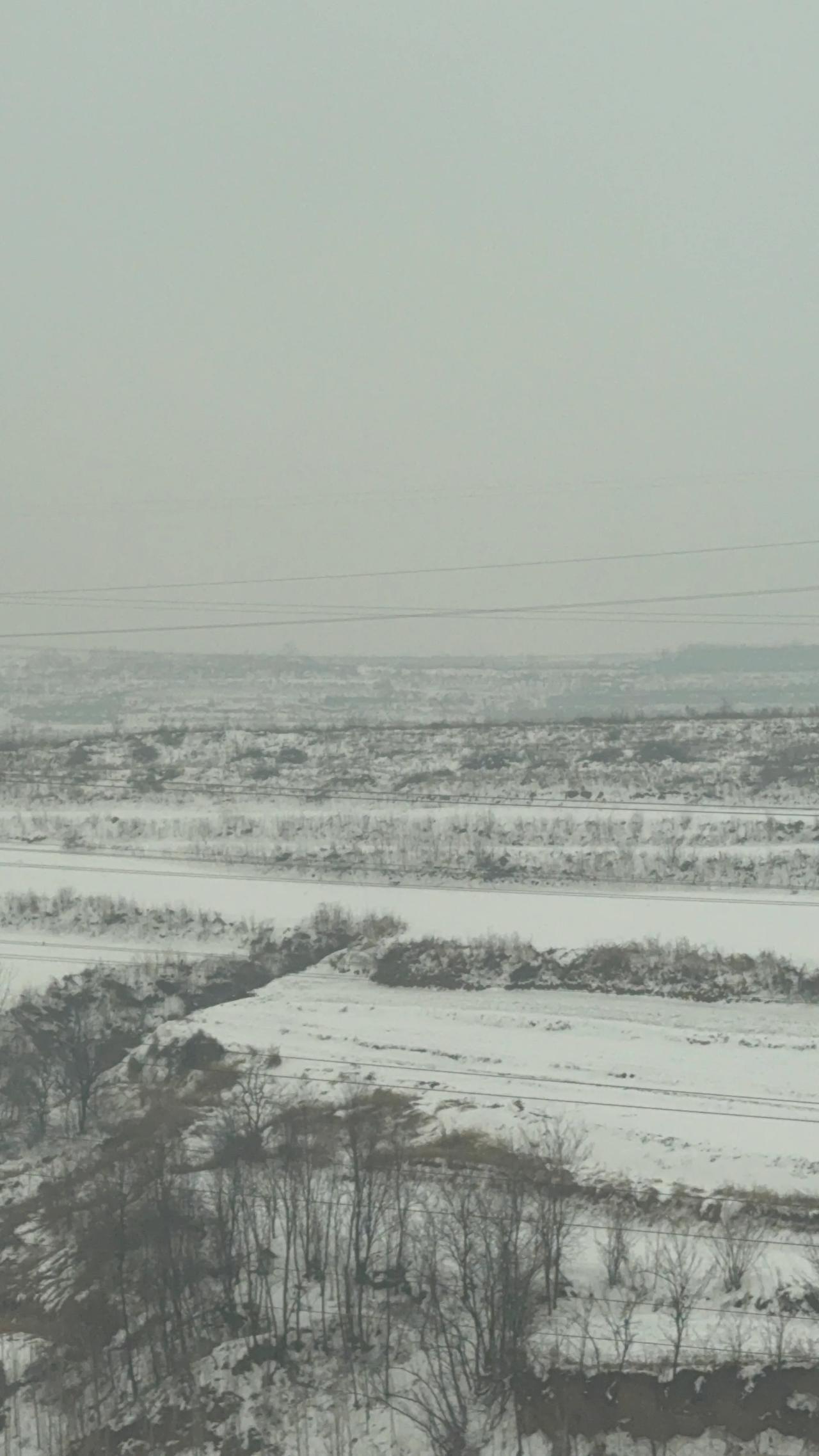 中原大地
一片苍茫
白雪当被
冬麦丰收可期