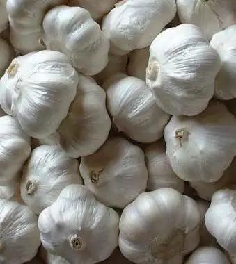 【收藏级】让大蒜“沉睡”一整年的5个土味绝招  
——厨房小白实测有效，第3个方