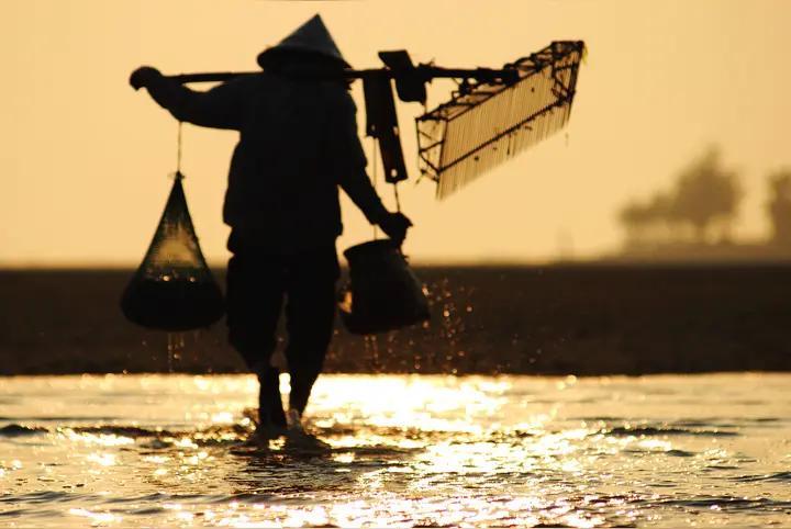 七十年代去北边打猎，遇到两个采珠人，在水流湍急的老河汊里采河蚌。
他们会拿一根又