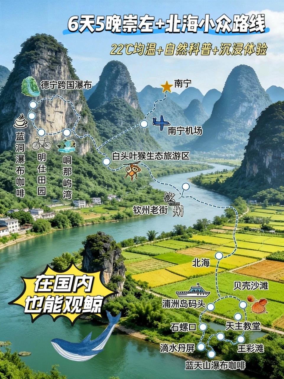 6天5晚！冬天带娃去20℃➕的涠洲岛观鲸！