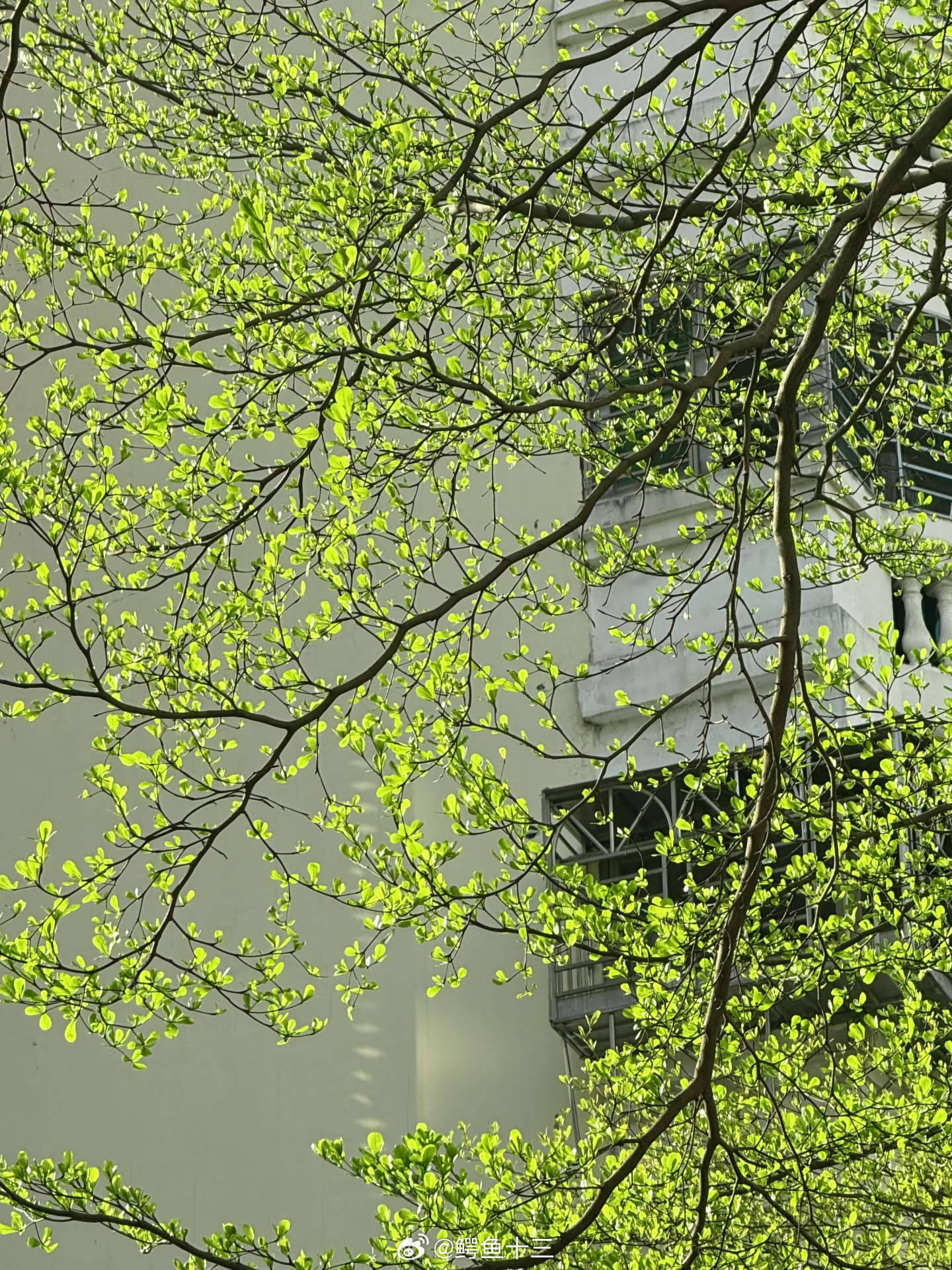 建议不允许青少年用AI做作业孩子可以用AI来写作业，有两个区分什么时候可以？什么