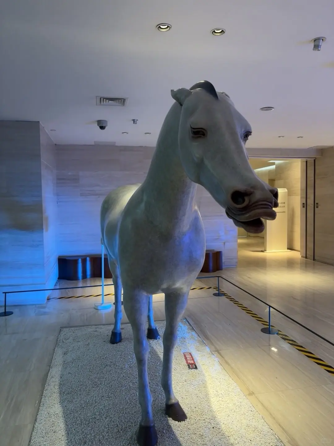 为了它来了一趟南京