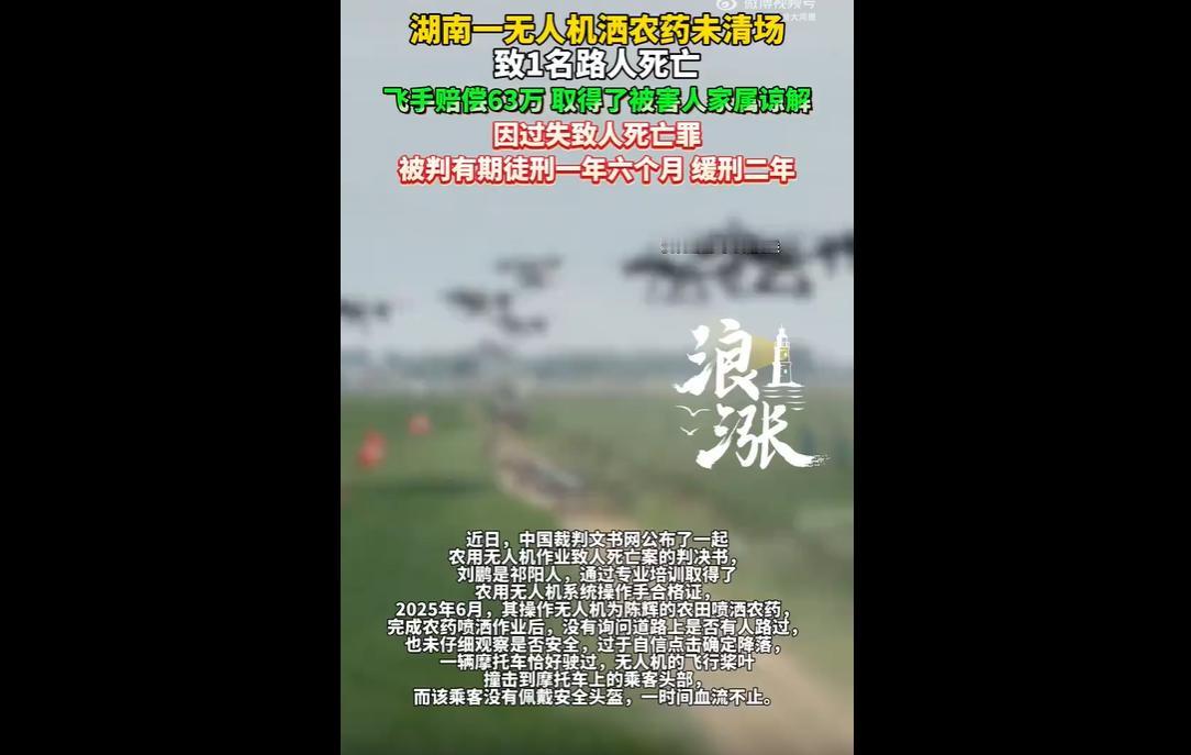 近日，中国裁判文书网公布一起农用无人机作业致人死亡案判决书，飞手刘鹏受种田大户陈