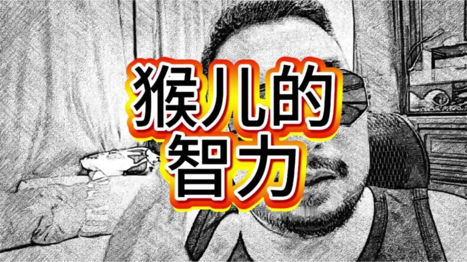 猴儿的智力 都见识一下猴儿的智力#尚界Z7