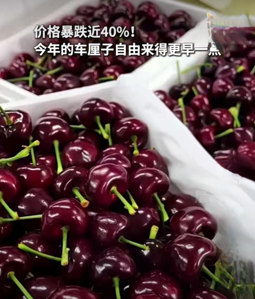 车厘子价格“腰斩”，今年“自由”来得特别早！

往年冬天令人“望而却步”的车厘子