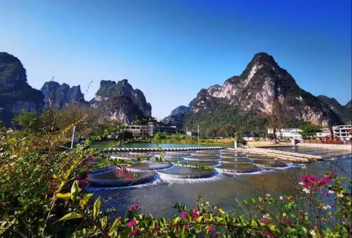 桂南边陲的明仕园，是藏在喀斯特峰林间的水墨秘境。群峰拔地而起，玲珑清逸，叠缀成连