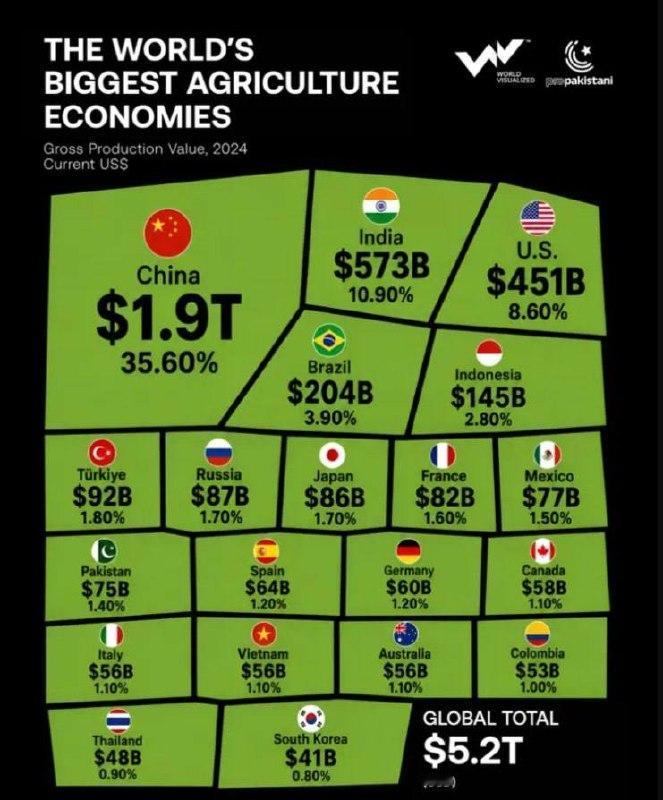 中国占世界农业总产量的35.6%。 全球第一。

但中国也是全球第一大粮食（农产