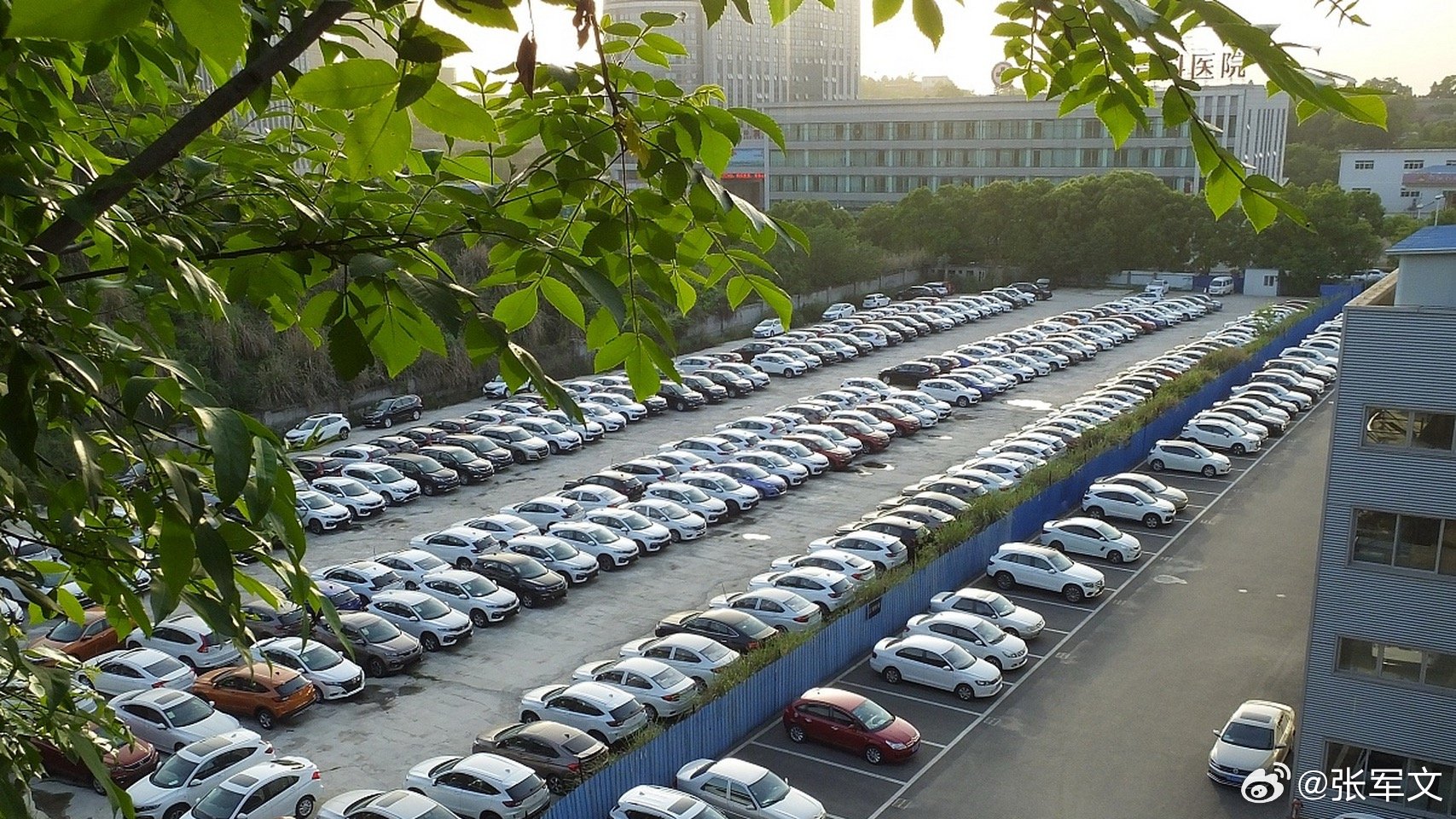 女子因停车争吵身亡家属索赔122万  邻居判赔14.9万：公共车位争执酿悲剧，法