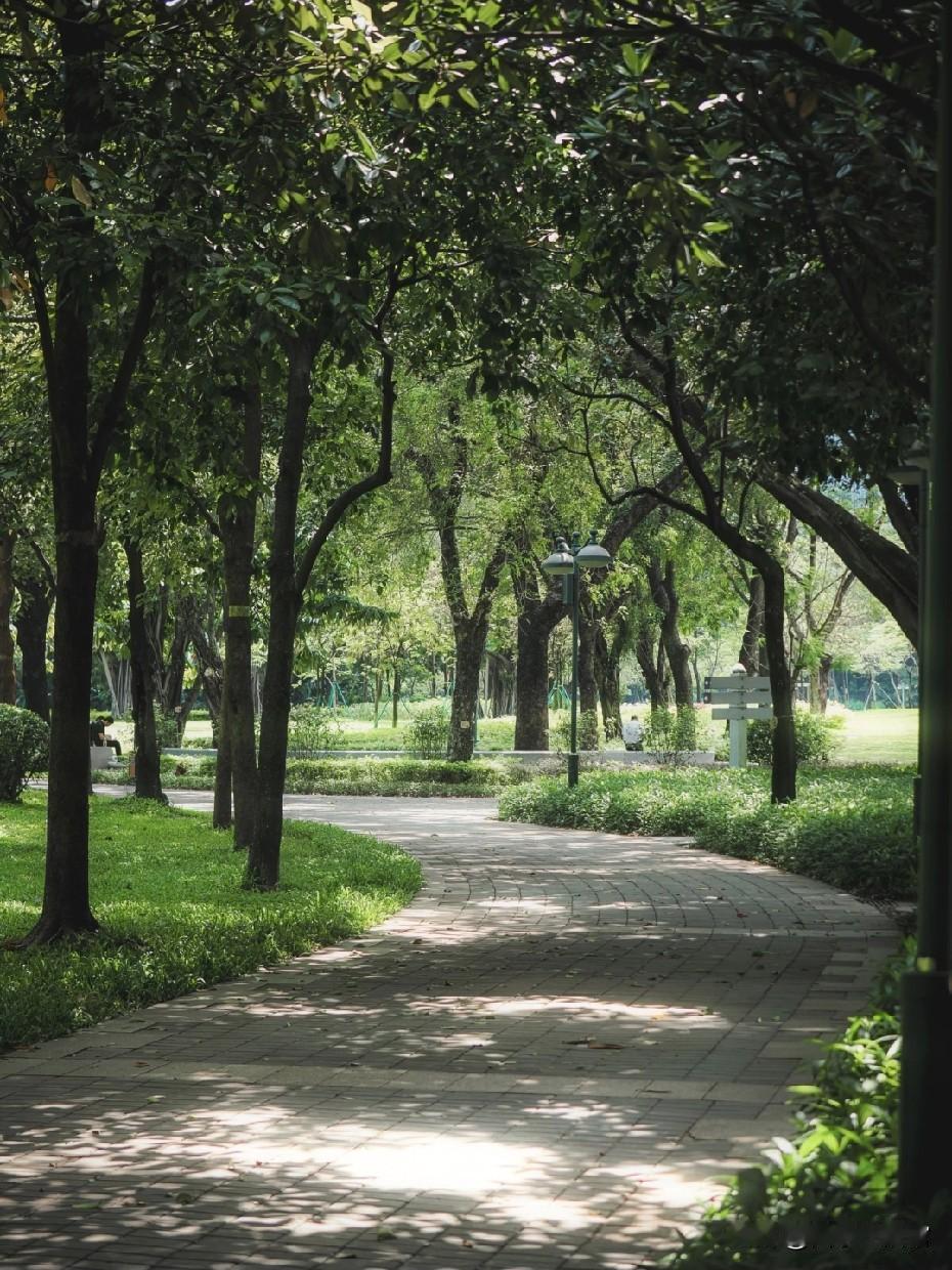 现在最可怕的
不是年轻人不结婚不生娃
而是70后父母同意不结婚……

年轻人不婚