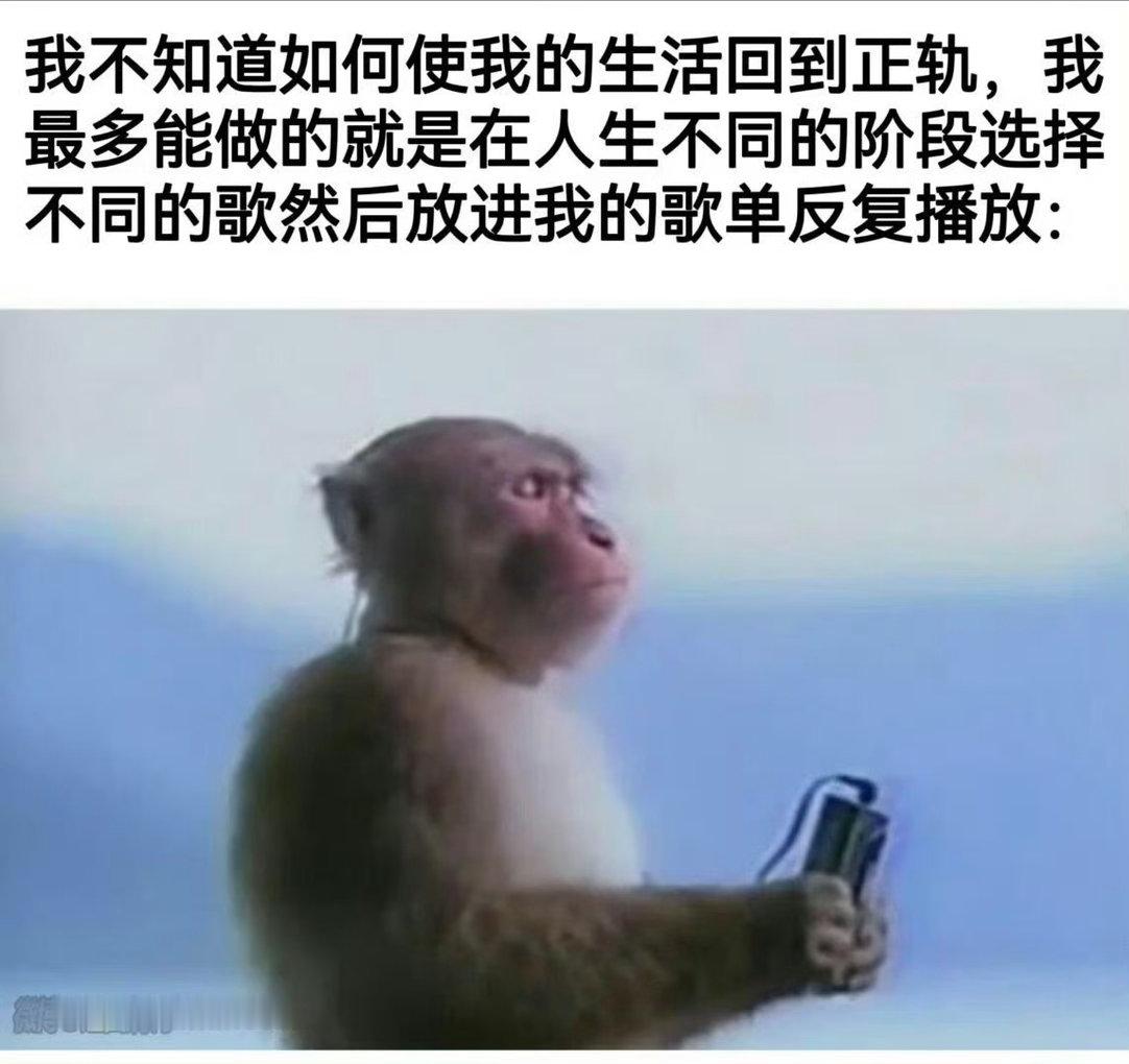 我每天 