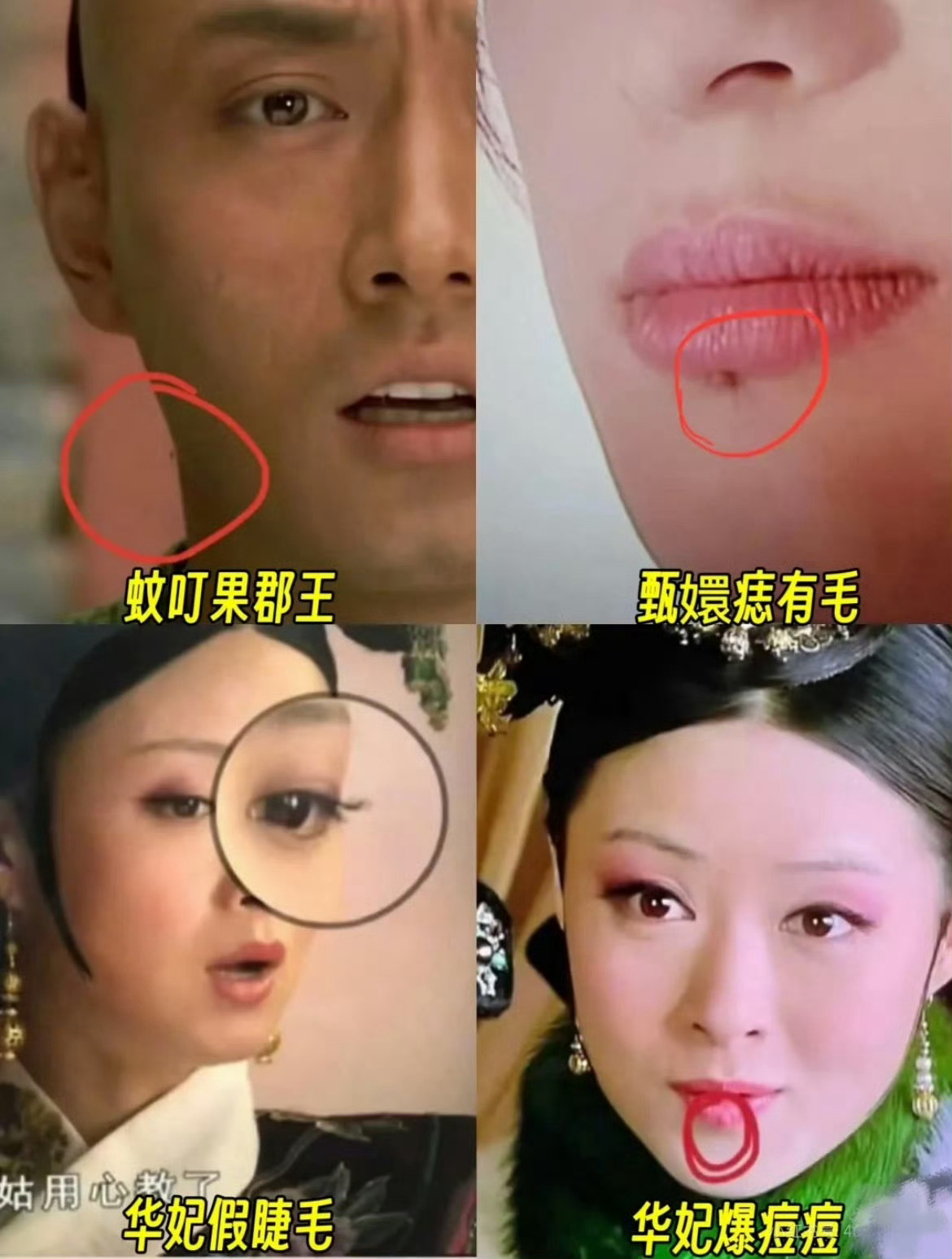 显微镜下的娘娘们 ​​​