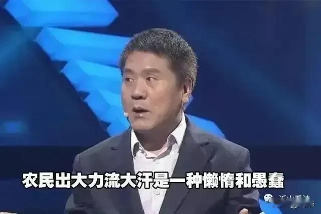 语不惊人死不休的几位专家学者：
第一位，王福重，原北大教授、经济学家——农民无用