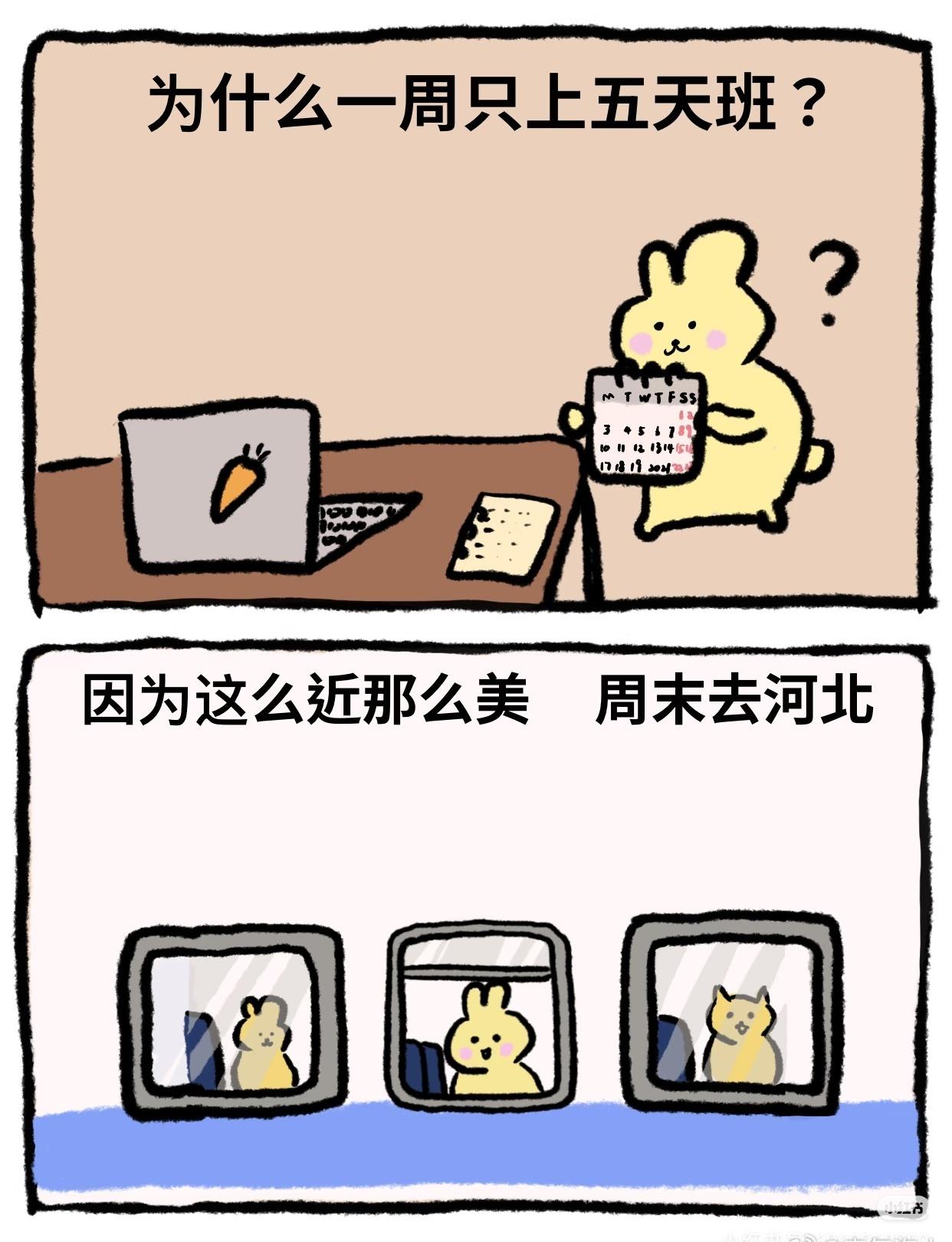 你能猜出几个?(图片来源于网络)
cr:📚Tila酱 ​​​