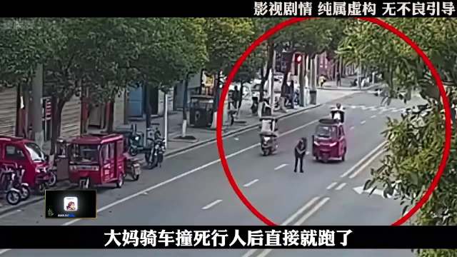 肇事逃逸的大妈 #大案纪实#